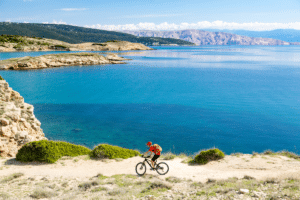 Mit einem Autofahrradständer können Sie Ihr Bike problemlos mit in den Urlaub nehmen.